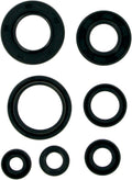 MSE MTR SEALS YSF200