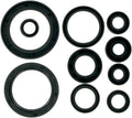 MSE MTR SEALS CRF450 02